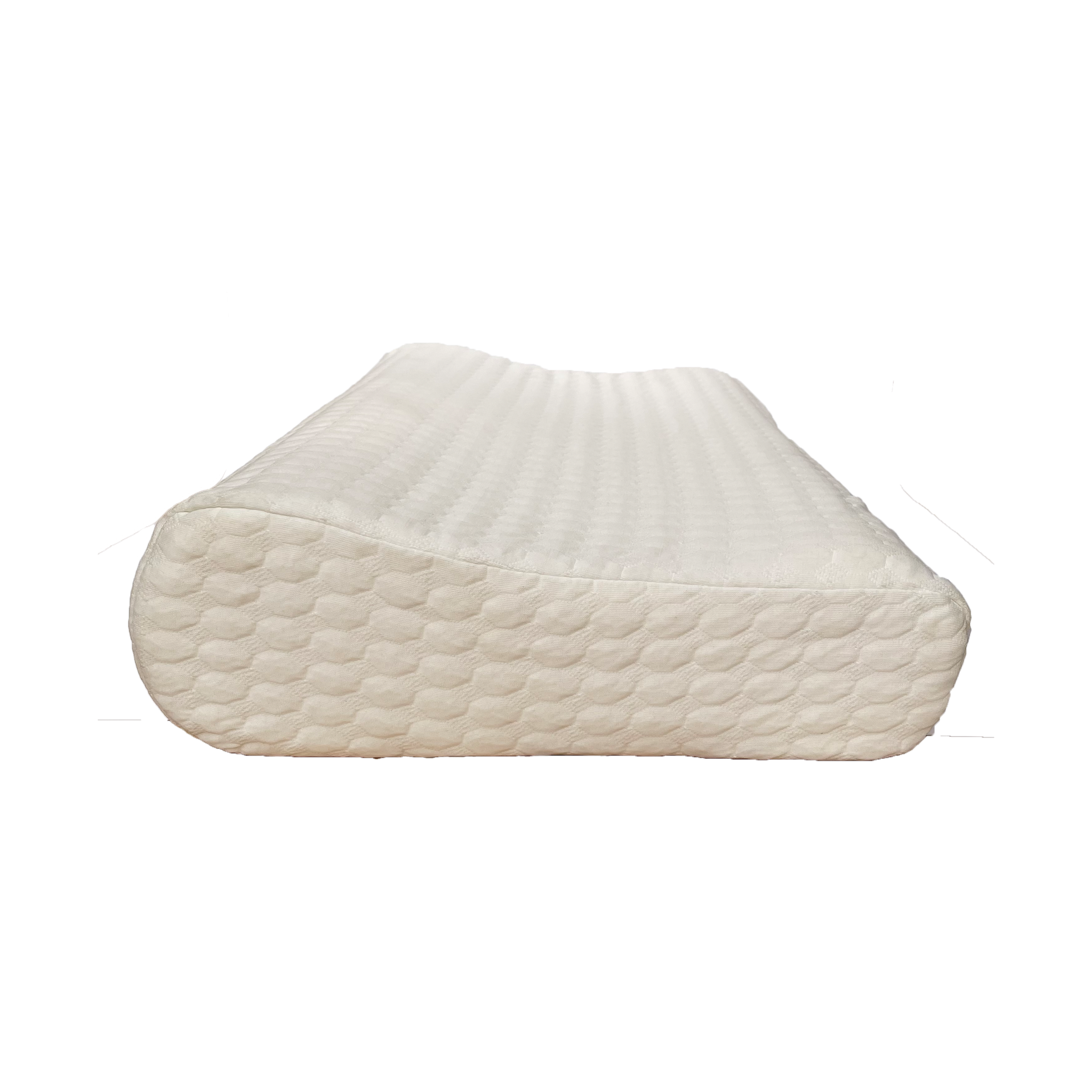 Control Memory Foam Sleeping Pillow